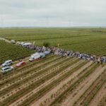 House am Trullo (Tag der deutschen Einheit)