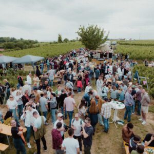 51-DJI_20250529175128_0031_D