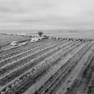 52-DJI_20250529175144_0033_D-2