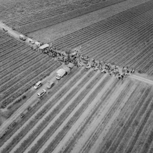 54-DJI_20250529175155_0034_D-2